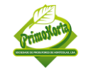 PrimoHorta